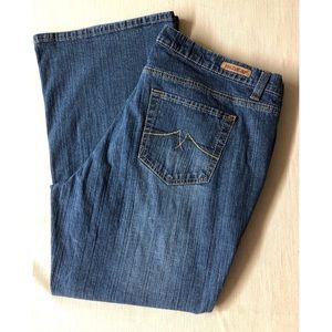Jeanstar Mercury Plus 20W Flare Bottom Jeans EUC
